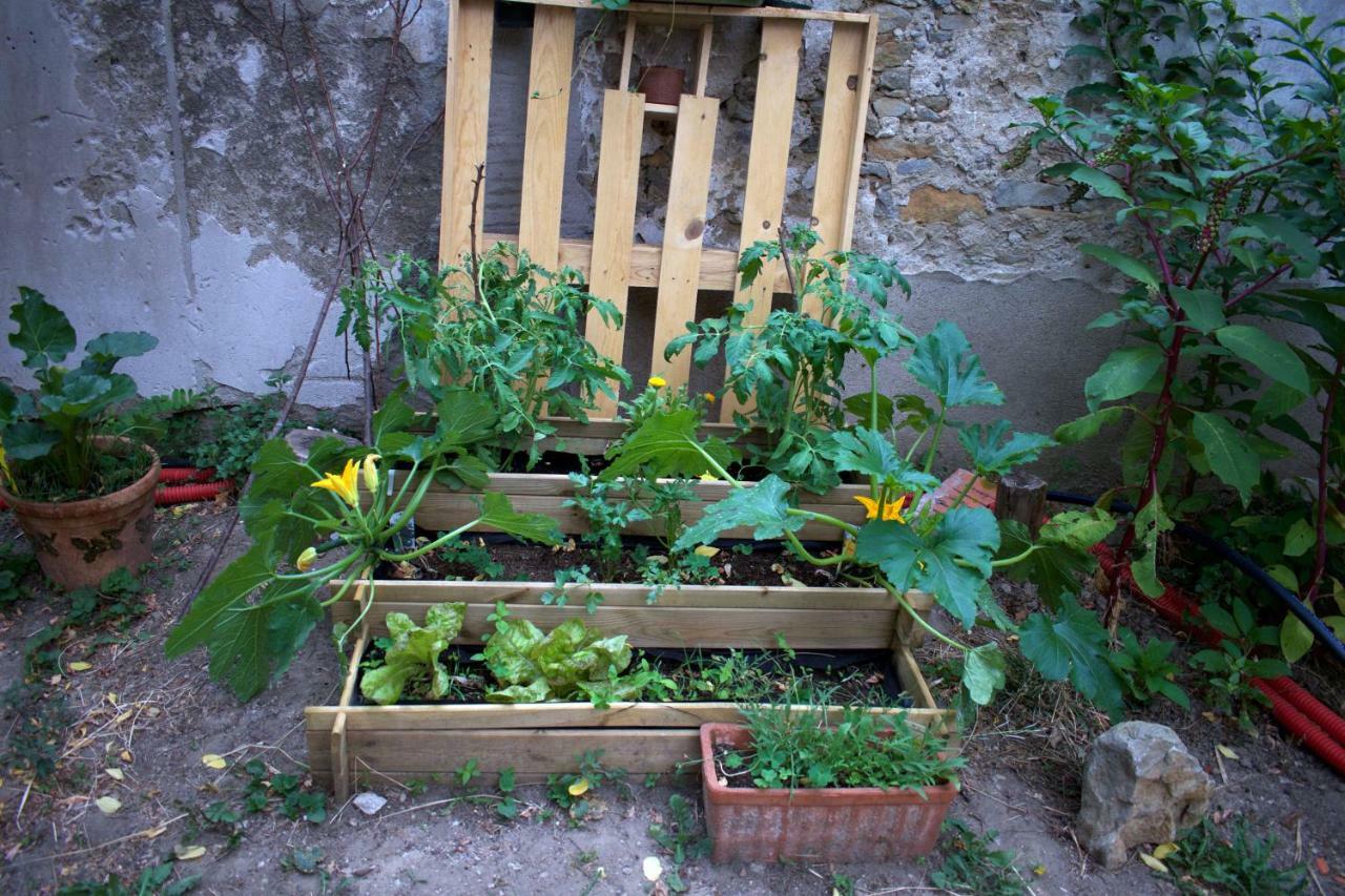 Art Home Bnb Carcassonne Exterior foto